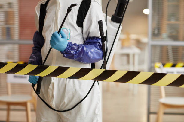 Professional Sewage Cleanup technician working in Ansley, NE